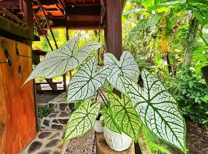 Eco Hut By Valley And 7 Waterfalls *